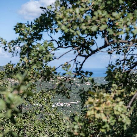 Velanis Ηouse, Style Into Nature - Secluded Kíssamos Dış mekan fotoğraf